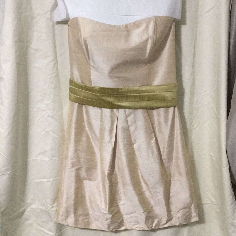 Watters & Watters Silk Dress